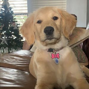 Meet your Posher, Tammy